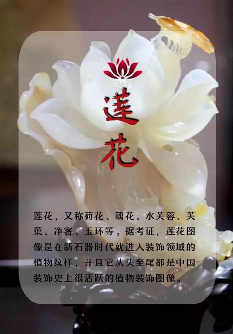 莲花风水|莲花到底代表什么？为什么佛祖和菩萨那么喜欢它！